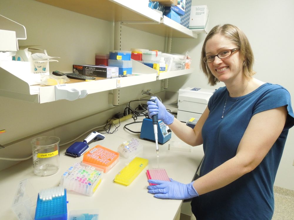 Katrina Lohan analyzes parasite DNA in SERC’s Ecological Genomics Core. The results help detect parasites infecting oysters or lurking the ballast water of large ships. (Credit: Kristen Minogue/SERC)