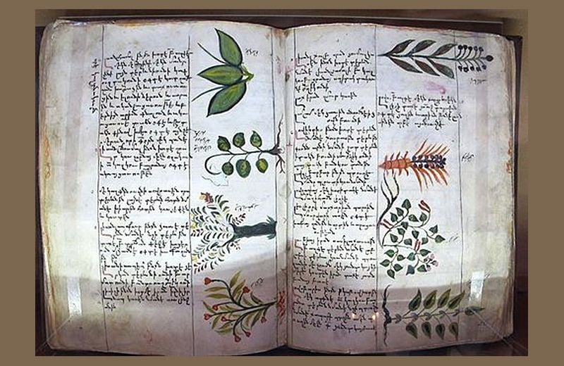 Fifteenth century Armenian botanical encyclopedia