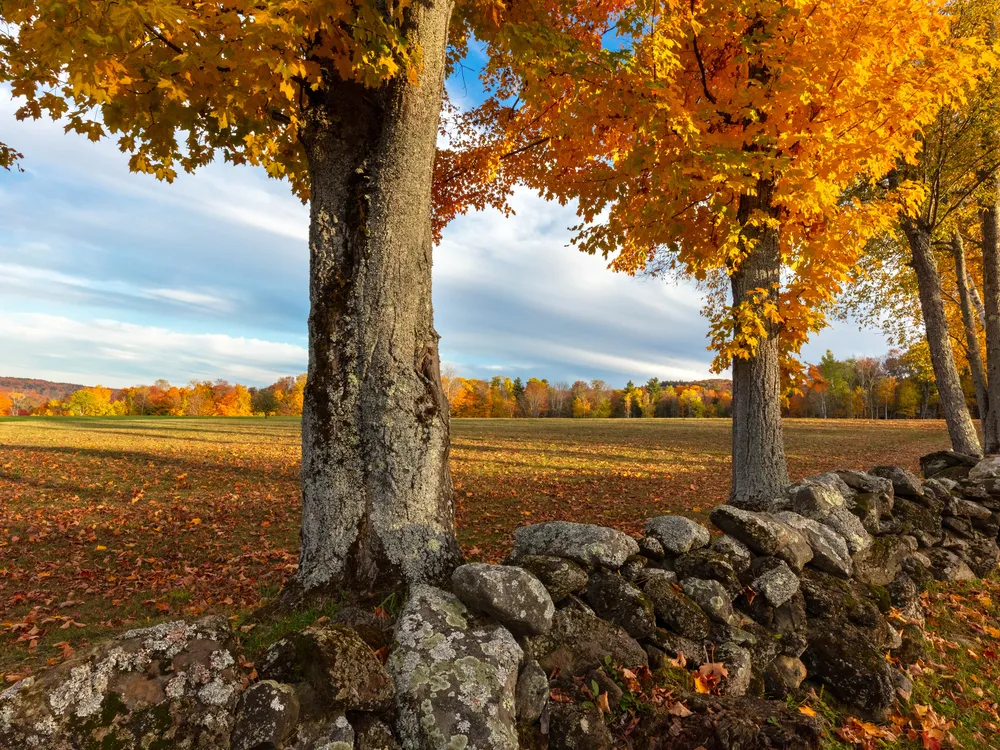 Vermont stone wall