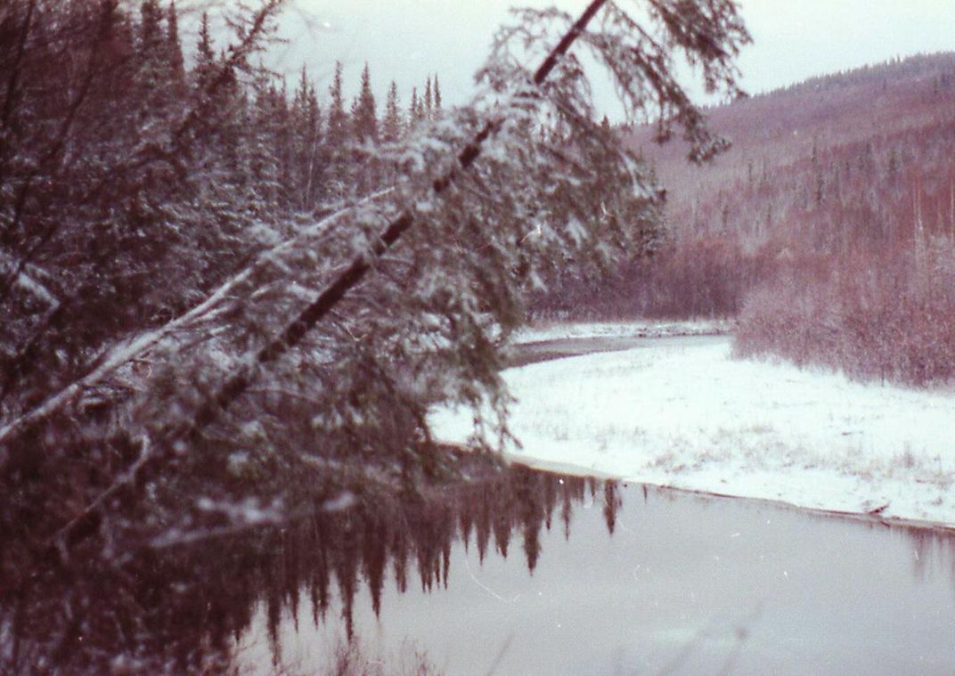 Chatanika River 32 mile Steese Highway located north of Fairbanks