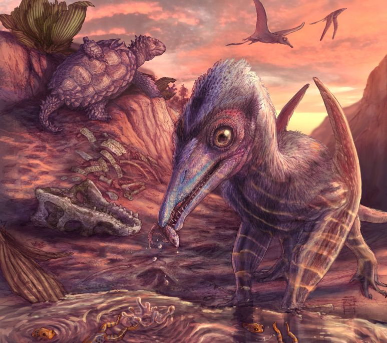 Arizona's Petrified Forest National Park, Illustration by Brian Engh