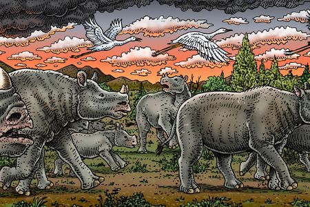Two-horned Diceratherium rhinos