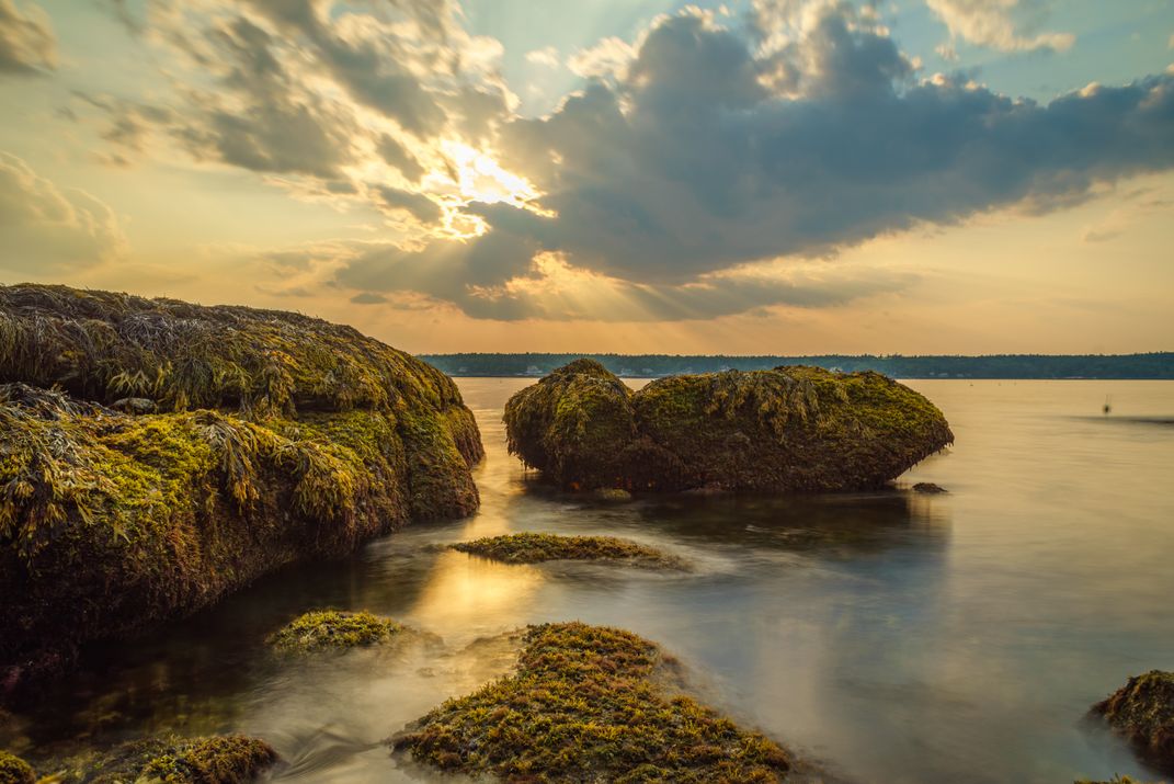 low-tide-maine-smithsonian-photo-contest-smithsonian-magazine