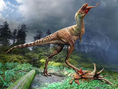 A Gorgosaurus consumes its prey.