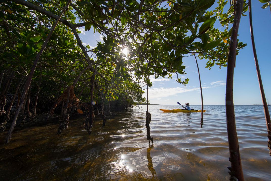 Best Spots to Explore Along the Great Calusa Blueway