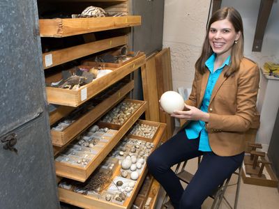 Mary Caswell Stoddard studies eggs at Princeton University. 