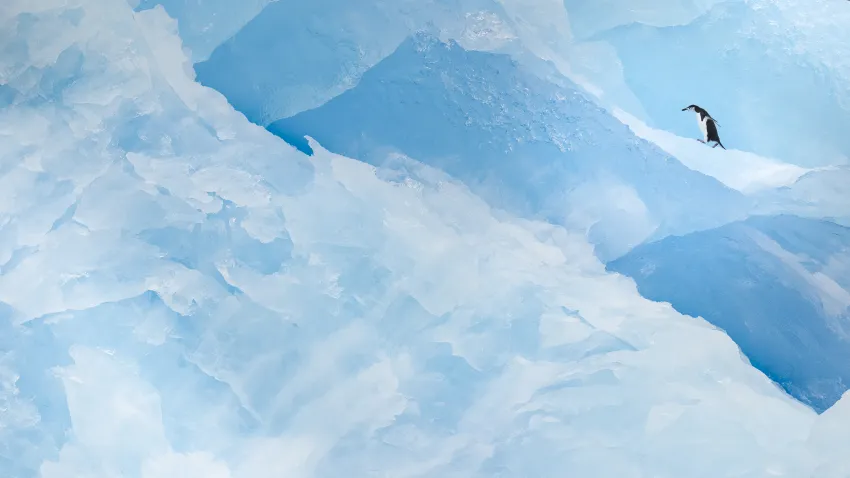 mountains of ice with a penguin on the upper right