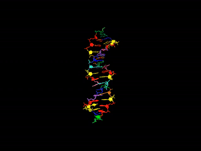 An animation of the eight color-coded bases of hachimoji DNA