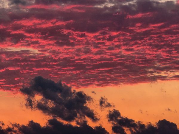The Painted Sky Above thumbnail
