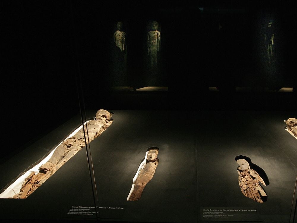 A group of mummies in northern Chile from between 5,000 and 7,000 years ago.