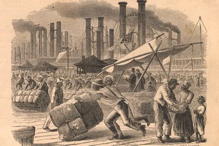 Illustration of the enslaved laborers moving cotton in New Orleans