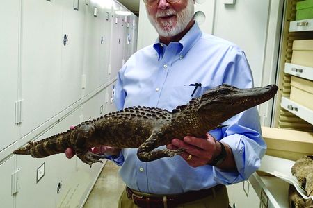 Former Smithsonian Secretary G. Wayne Clough holds 