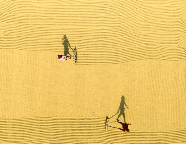 Shadow workers in paddy thumbnail