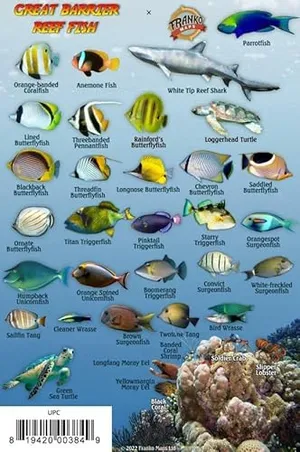 Great Barrier Reef Creatures Waterproof Fish Card 4" x 6"