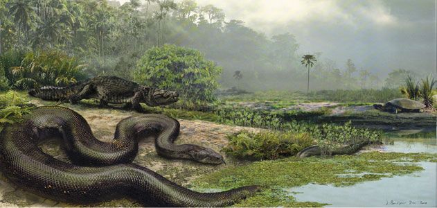 How Titanoboa The 40 Foot Long Snake Was Found Science Smithsonian Magazine