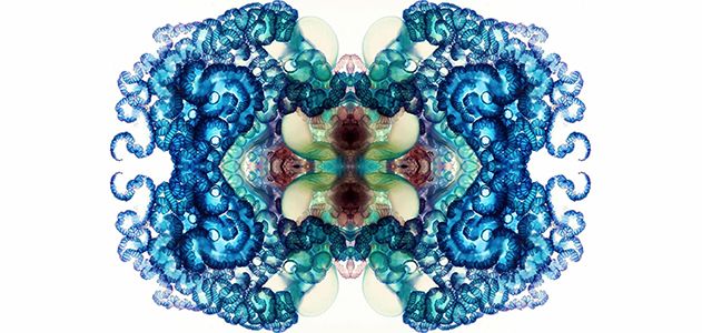 The Vibrant Patterns of Portuguese Men-of-War | Science ...
