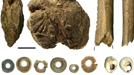 Organic tools found at South Africa’s Border Cave include (a) wooden digging sticks, (b) poison applicator, (c) bone arrow point, (d) notched bones, (e) lump of beeswax mixed with resin and (f) beads made from marine shells and ostrich eggs.