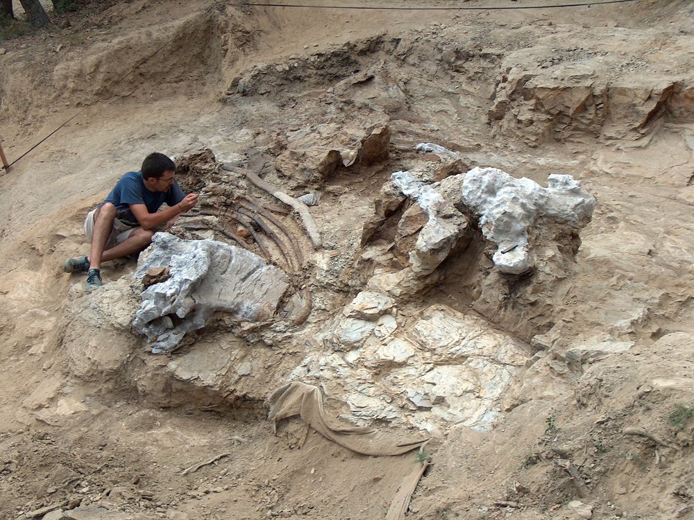 Paleontologists working at dig site