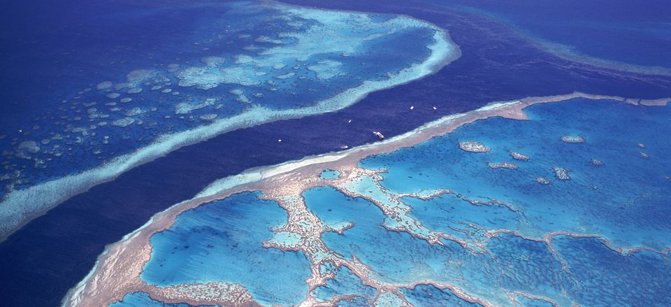  Coral Reef, Great Barrier Reef 