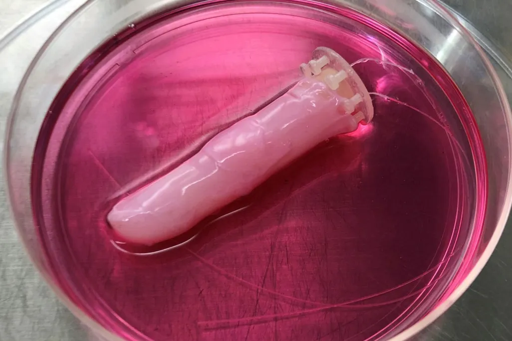 Robotic Finger With Skin
