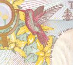 20110520104012hummingbird.jpg