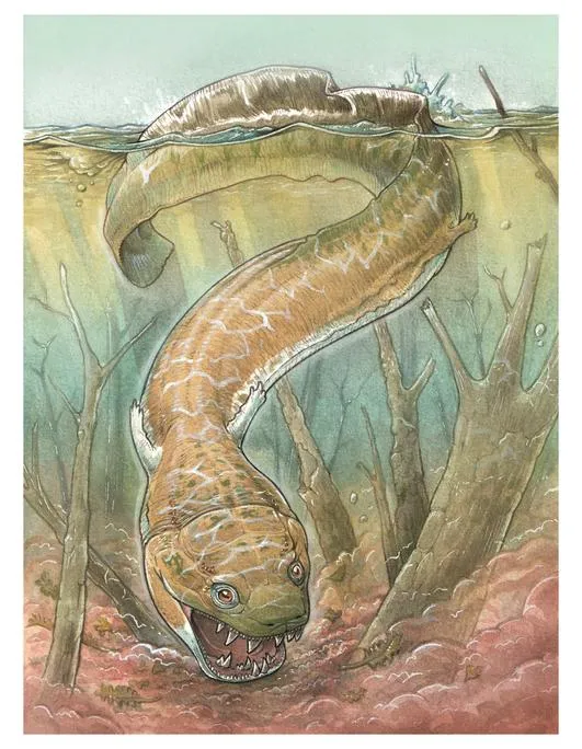 An artist’s rendering of Gaiasia jennyae