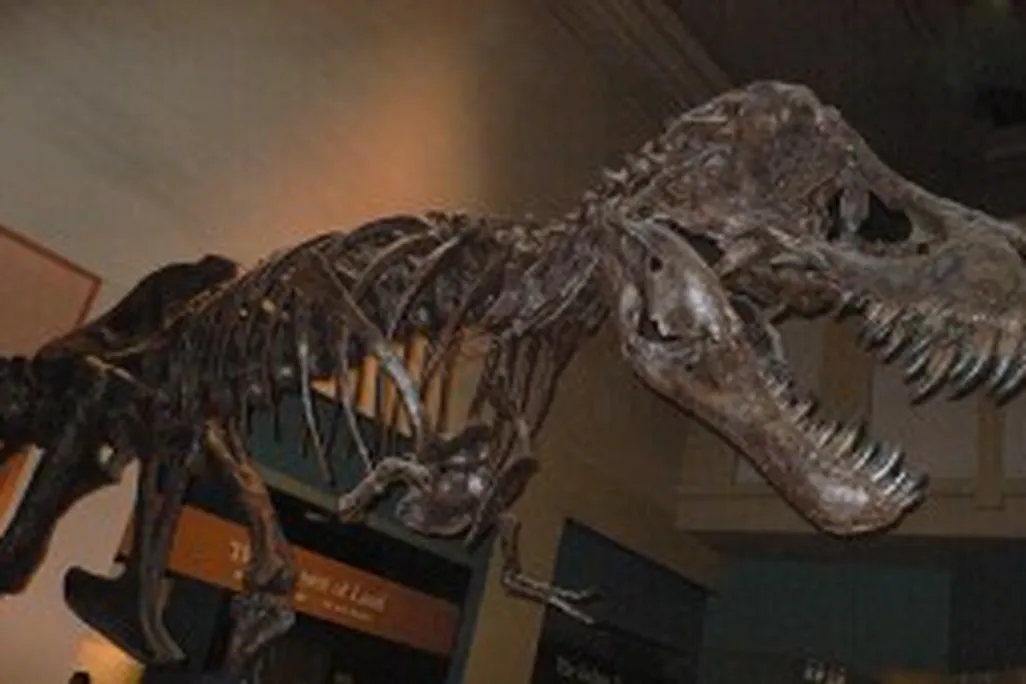 20110520083143smithsonian-tyrannosaurus-rex-300x169.jpg