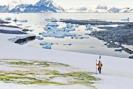 A new study has mapped green algae blooms, like the one pictured here, on the Antarctic Peninsula.
