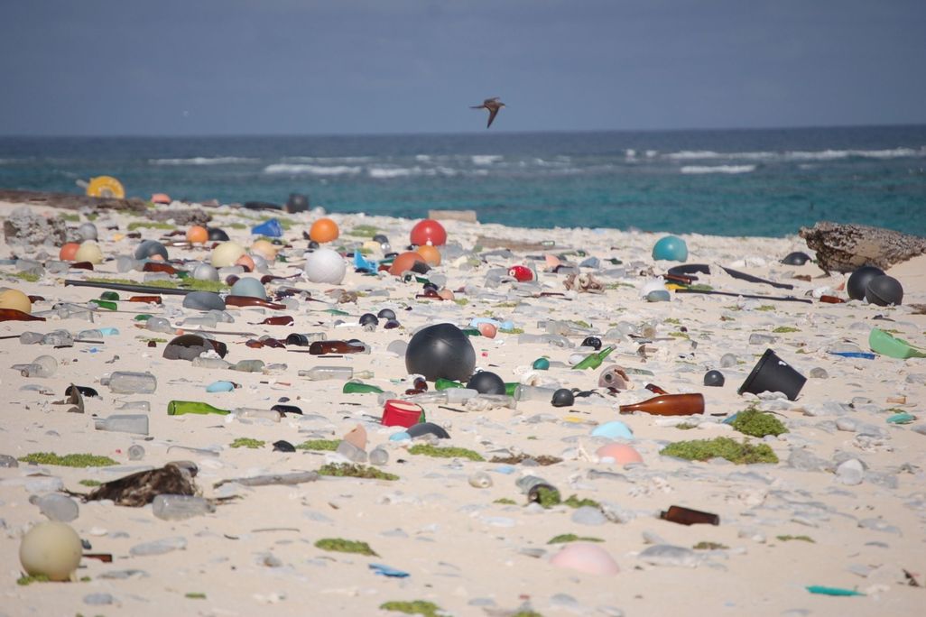 Beach_strewn_with_plastic_debris_(8080500982).jpg