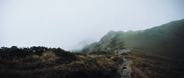 Line in Life thumbnail