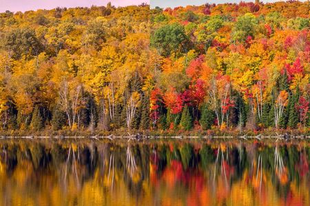 The impact of EnChroma sunglasses: the left shows what a wearer with red-green colorblindness would typically see. The right shows what they see while wearing the sunglasses.