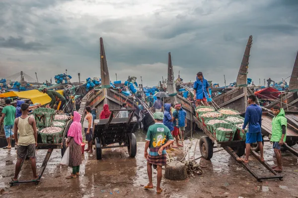 Busy Fishermen on a rainy day thumbnail