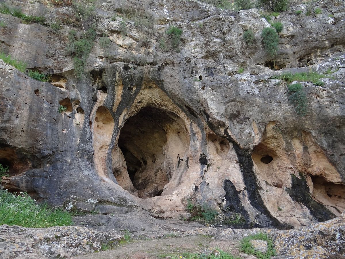 Ancient Skull Blends Human and Neanderthal Traits