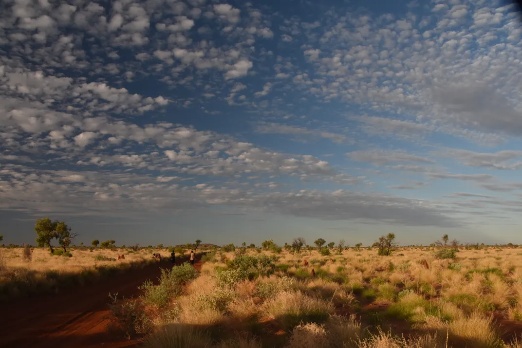 Australia's Western Desert Art Movement Turns 50