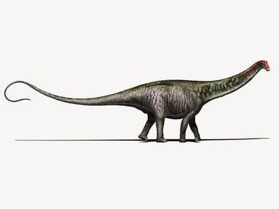 Welcome back, Brontosaurus?