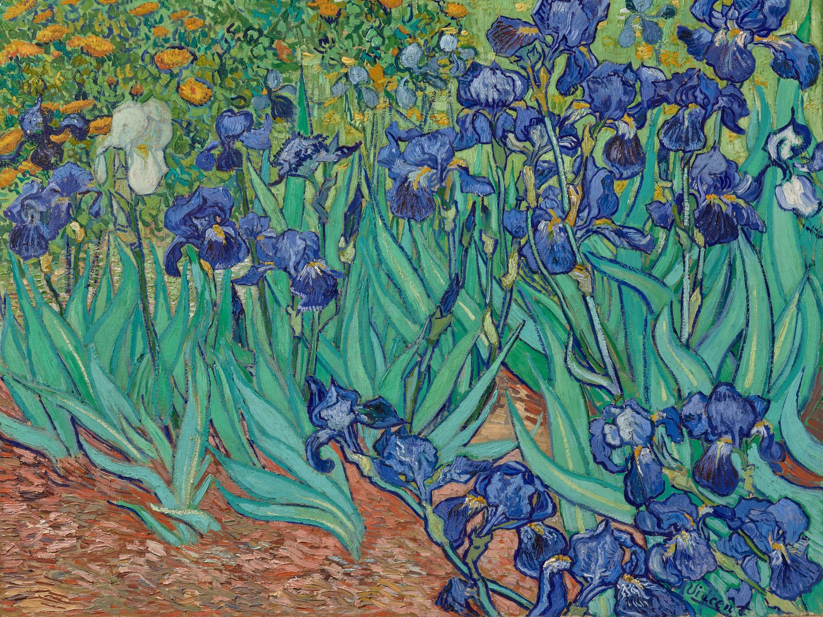 Vincent van Gogh's Brilliant Blue 'Irises' Were Originally Purple, New ...