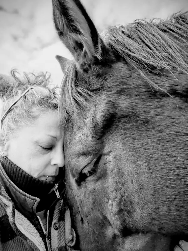 The connection between two species through trust, respect, and love thumbnail