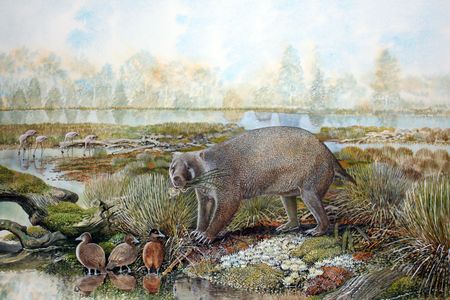 A painting that imagines what a living Mukupirna nambensis and its surrounding environment would have looked like some 25 million years ago near Lake Pinpa, Australia.
