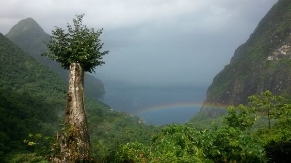 Mountain and ocean view with rainbow in St Lucia thumbnail