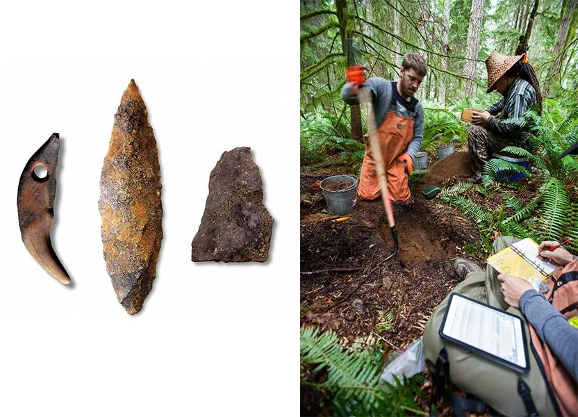 Paleolithic evidence & 