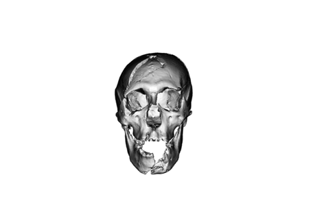 A 3D model of the skull likely belonging to B&eacute;la, Duke of Macs&oacute;
