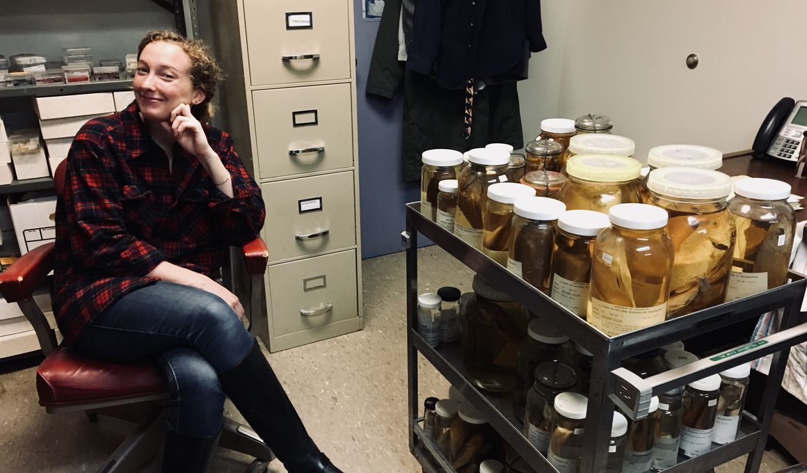 Office of Academic Appointments and Internships Blog | Smithsonian Magazine