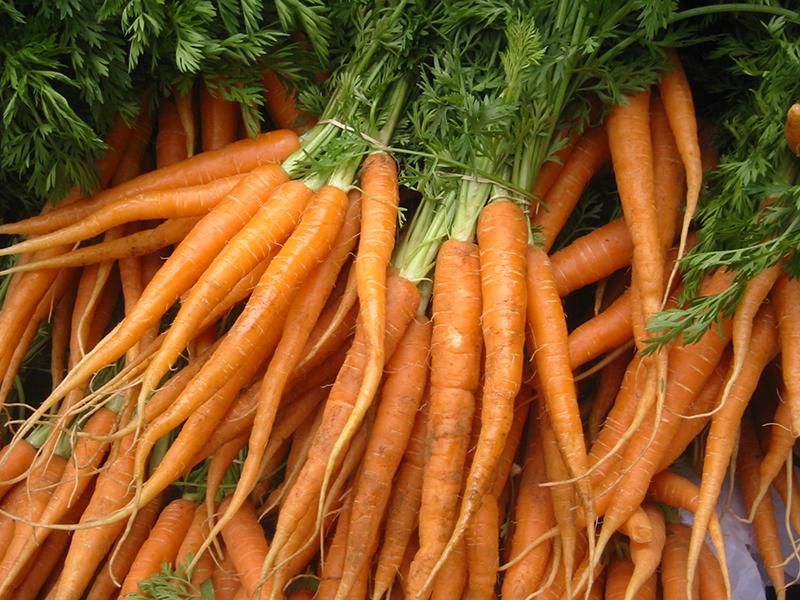 Carrots