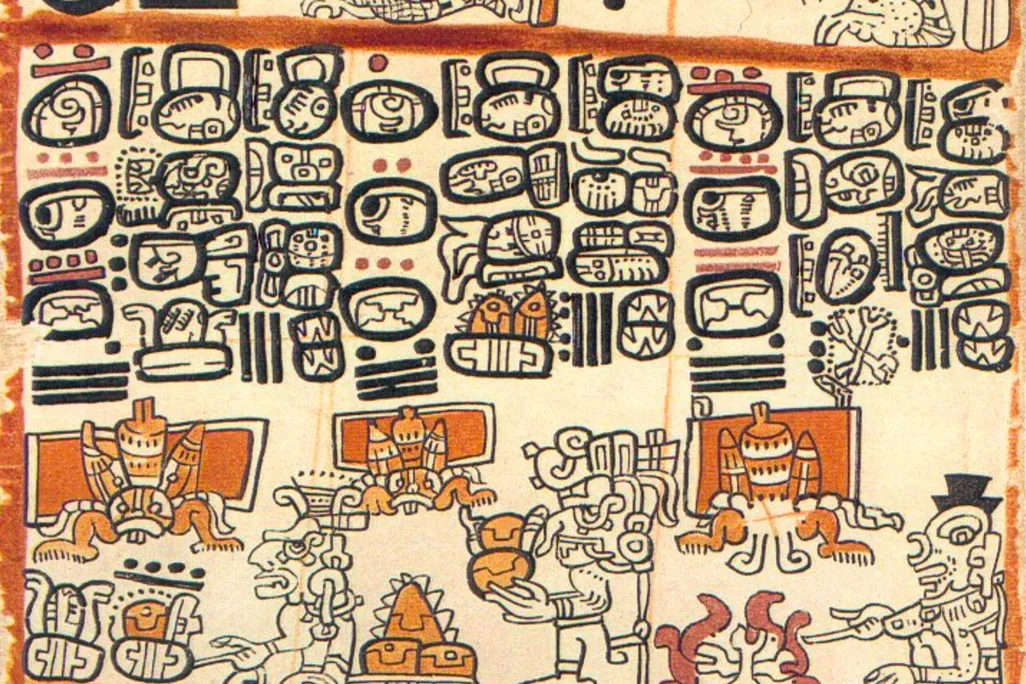 Codex harvest
