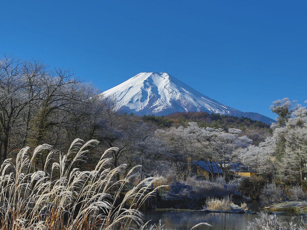 Mount Fuji