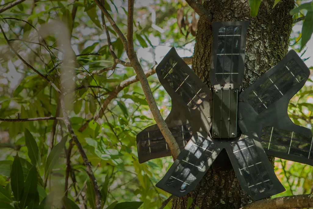 Phone Solar Petal 2