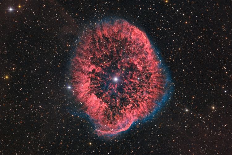 a red billowing ring of cosmic gas and dust surrounds a bright star with other stars appearing as several pinpricks of light in the background