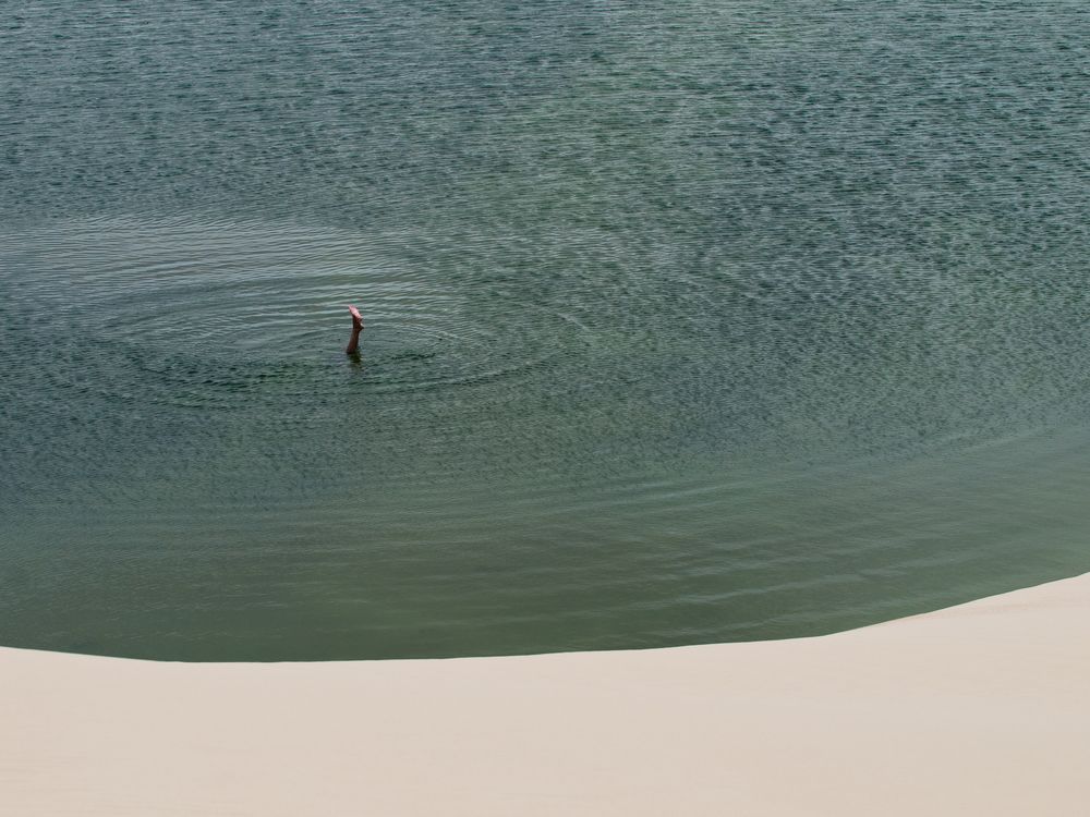 Diving head first Smithsonian Photo Contest Smithsonian Magazine