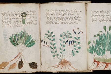 Voynich Manuscript