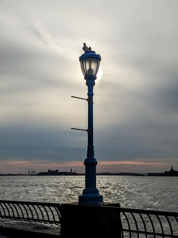 A lamp by the water in New York City thumbnail